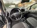 Ford EcoSport 1.0 TURBO BENZINA SI A NEOPATENTATI Grau - thumbnail 8