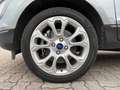 Ford EcoSport 1.0 TURBO BENZINA SI A NEOPATENTATI Grau - thumbnail 16