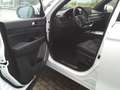SsangYong Rexton 2.2 Diesel 4WD Aut. Black Weiß - thumbnail 10