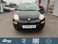 Fiat Panda Pandina Icon,PDC,DAB Schwarz - thumbnail 2