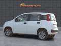 Fiat Panda 0.9 TwinAir Turbo Natural Power Easy Bianco - thumbnail 1