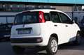 Fiat Panda 0.9 TwinAir Turbo Natural Power Easy Bianco - thumbnail 9