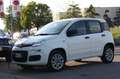 Fiat Panda 0.9 TwinAir Turbo Natural Power Easy Bianco - thumbnail 6