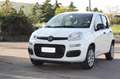 Fiat Panda 0.9 TwinAir Turbo Natural Power Easy Bianco - thumbnail 4
