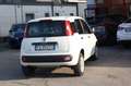 Fiat Panda 0.9 TwinAir Turbo Natural Power Easy Bianco - thumbnail 11