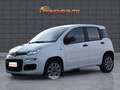 Fiat Panda 0.9 TwinAir Turbo Natural Power Easy Bianco - thumbnail 2
