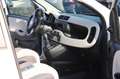 Fiat Panda 0.9 TwinAir Turbo Natural Power Easy Bianco - thumbnail 15