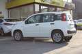 Fiat Panda 0.9 TwinAir Turbo Natural Power Easy Bianco - thumbnail 7