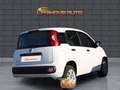Fiat Panda 0.9 TwinAir Turbo Natural Power Easy Bianco - thumbnail 3