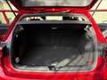 Volkswagen Golf Golf VIII 2020 1.5 tsi evo Life 130cv Rosso - thumbnail 13