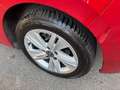 Volkswagen Golf Golf VIII 2020 1.5 tsi evo Life 130cv Rosso - thumbnail 15