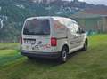Volkswagen Caddy Caddy Kombi Austria Plus 2,0 TDI Austria Plus Weiß - thumbnail 3