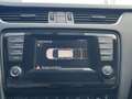 Skoda Octavia Combi 1.6 TDI Greenline Businessline Cruise contro Zwart - thumbnail 11
