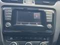 Skoda Octavia Combi 1.6 TDI Greenline Businessline Cruise contro Zwart - thumbnail 43