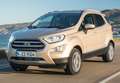 Ford EcoSport 1.0 EcoBoost Trend 125 Weiß - thumbnail 5