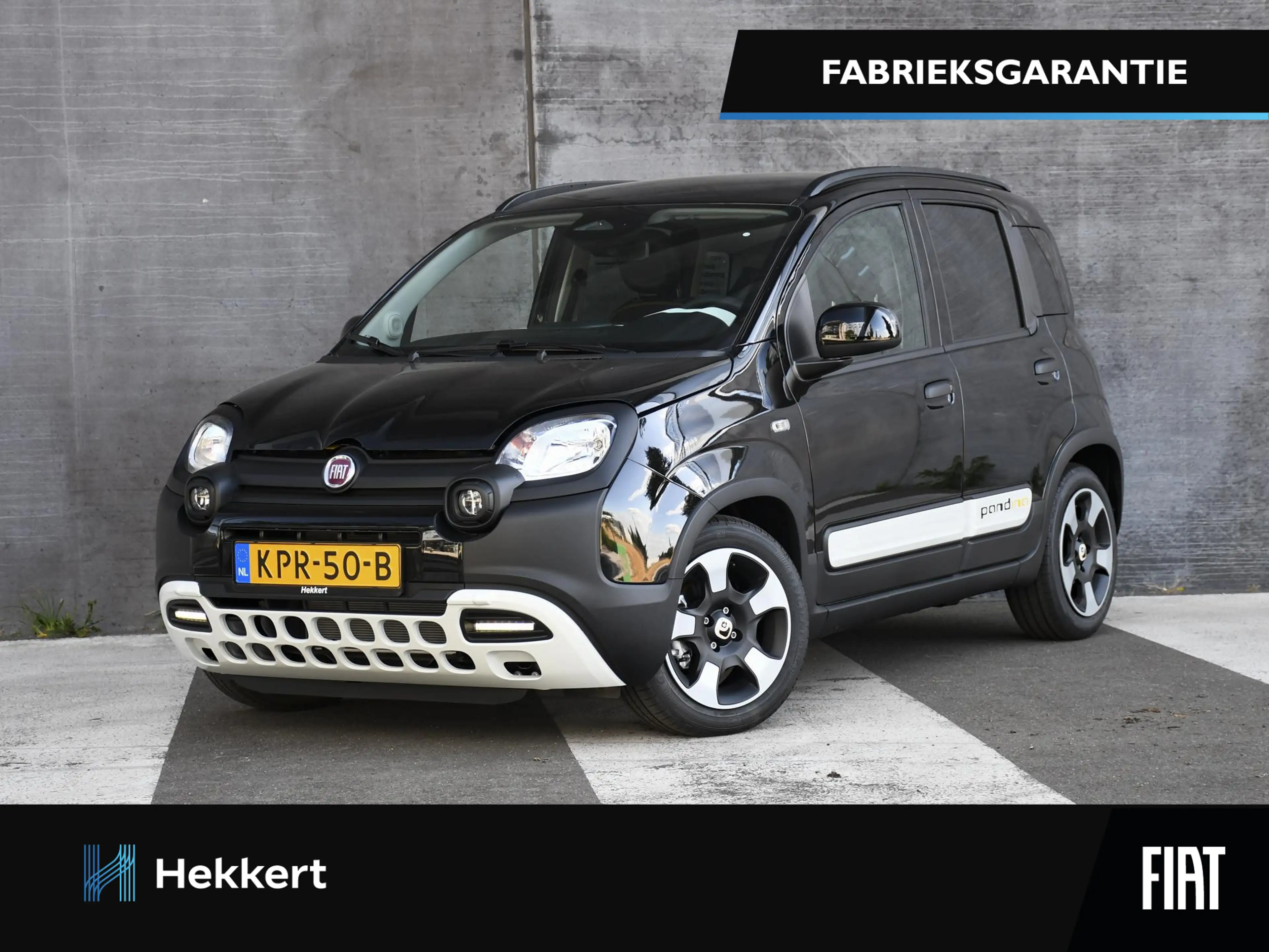 Fiat Pandina Cross 1.0 70pk CRUISE.C | DAB | APPLE-CARPLAY | 15