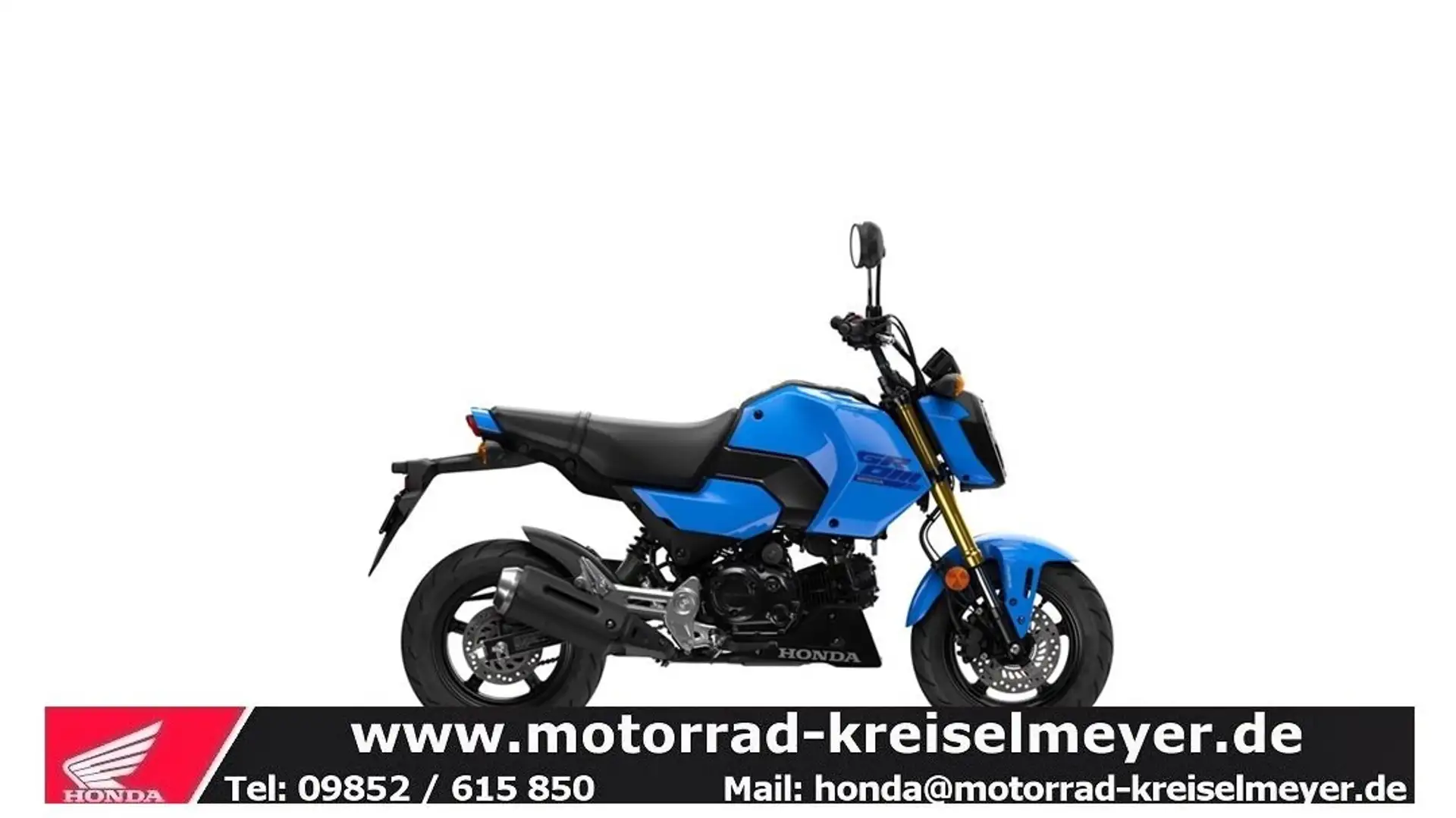 Honda MSX 125 Mod.25 alle Farben sofort verfügbar zum Aktionspre Albastru - 2