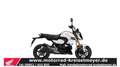 Honda MSX 125 Mod.25 alle Farben sofort verfügbar zum Aktionspre Blu/Azzurro - thumbnail 6