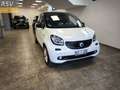 smart forFour Forfour 1.0 Passion 71cv Bianco - thumbnail 1