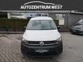 Volkswagen Caddy Maxi Kasten 2,0 TDI ..netto 18.353,-- Weiß - thumbnail 3