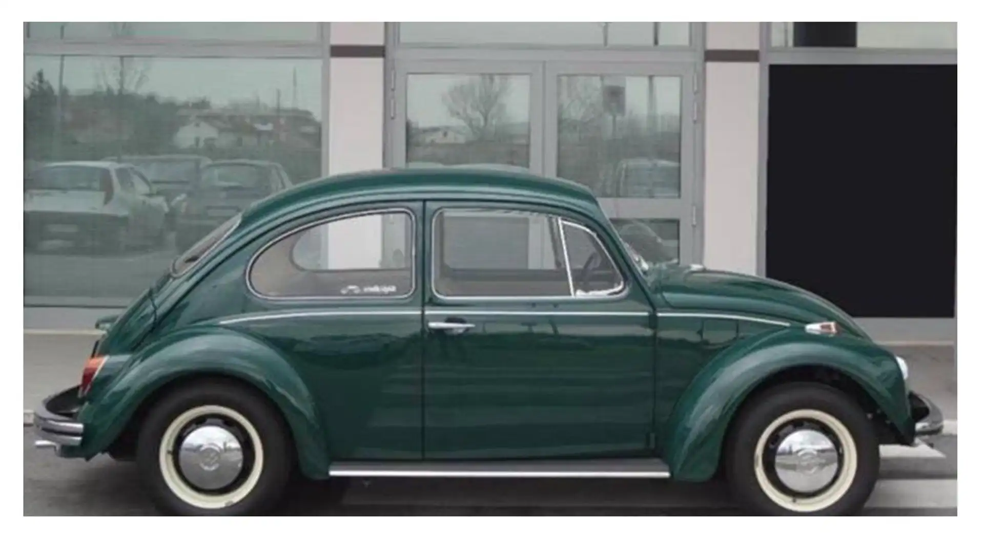 Volkswagen Maggiolino Green - 1