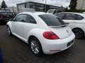 Volkswagen Beetle Automatik Pano-SD SHZ Navi Blanc - thumbnail 3