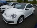 Volkswagen Beetle Automatik Pano-SD SHZ Navi Blanc - thumbnail 1