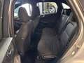 Ford Kuga Kuga III 2022 1.5 ecoblue ST-Line 2wd 120cv Grau - thumbnail 21