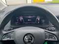 Skoda Karoq Ambition 1.6 TDI TEMP PDC KAM USB Bianco - thumbnail 12