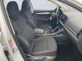 Skoda Karoq Ambition 1.6 TDI TEMP PDC KAM USB Bianco - thumbnail 10