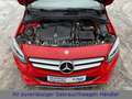Mercedes-Benz B 220 d 4MATIC 7G-DCT LED|AHK|R-KAMERA Rouge - thumbnail 32
