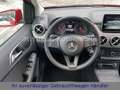 Mercedes-Benz B 220 d 4MATIC 7G-DCT LED|AHK|R-KAMERA Rouge - thumbnail 21