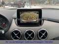 Mercedes-Benz B 220 d 4MATIC 7G-DCT LED|AHK|R-KAMERA Rouge - thumbnail 29