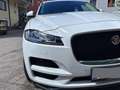 Jaguar F-Pace F-Pace 20d AWD Prestige Aut. Prestige Weiß - thumbnail 5