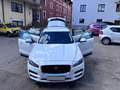 Jaguar F-Pace F-Pace 20d AWD Prestige Aut. Prestige Weiß - thumbnail 29