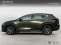Lexus NX 350h 2WD PREMIUM Vert - thumbnail 3
