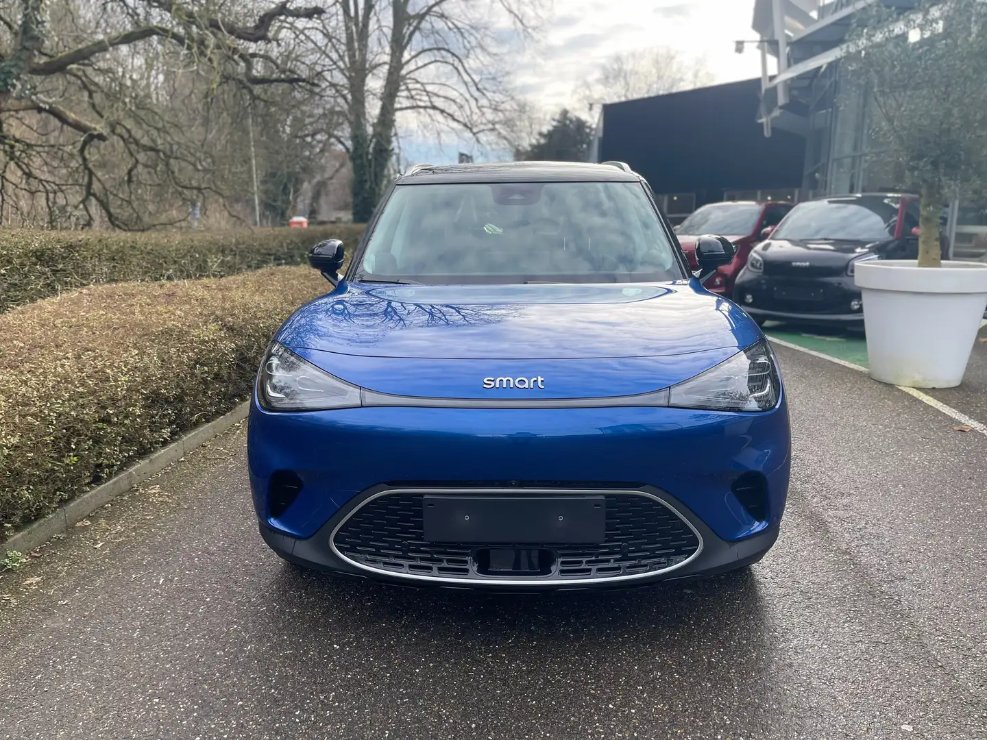 smart #1 66 kWh Premium Albastru - 2