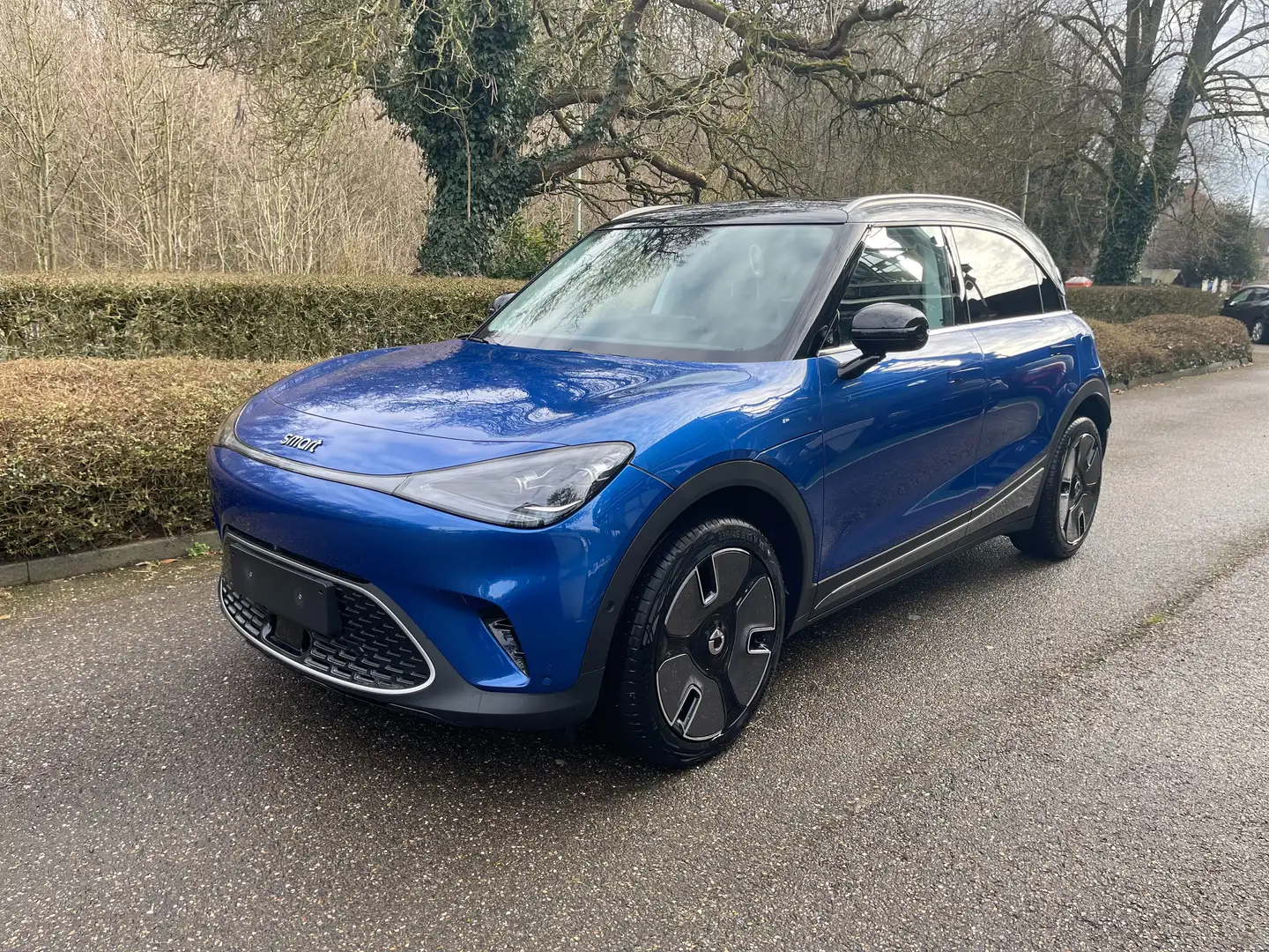 smart #1 66 kWh Premium Albastru - 1