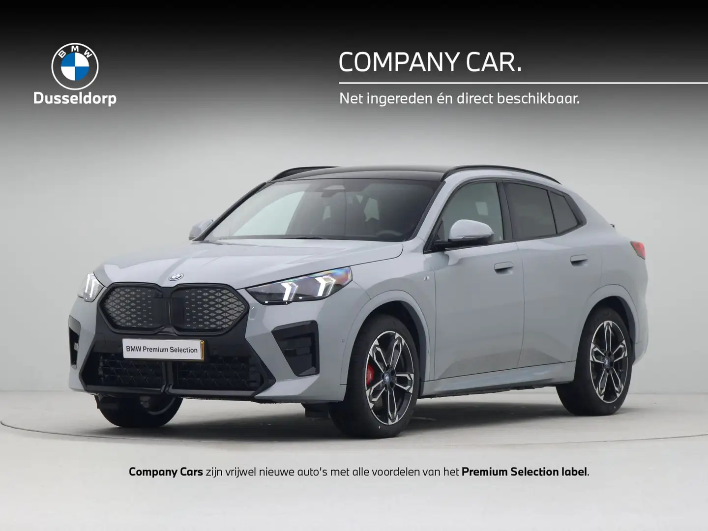 BMW iX2 eDrive20 67 kWh Gris - 1