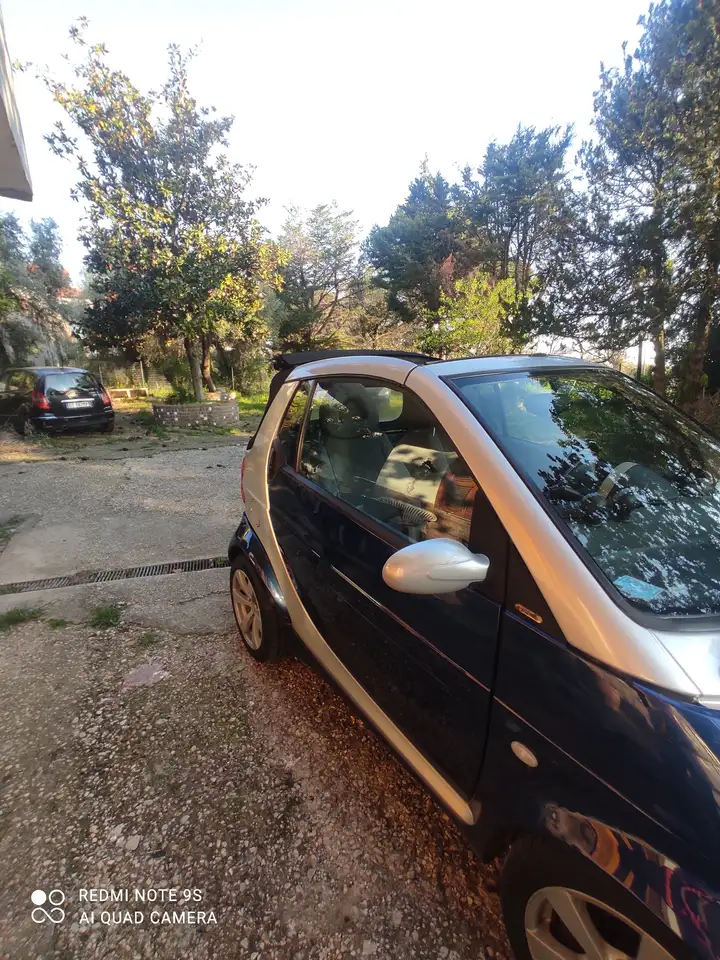 smart city-coupé/city-cabrio 450 benzina, foto 1