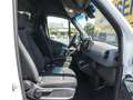 Mercedes-Benz Sprinter 214 Standard Automatik Klima SHZ Blanc - thumbnail 8