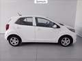 Kia Picanto 1.0 dpi urban Bianco - thumbnail 6
