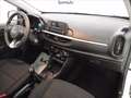 Kia Picanto 1.0 dpi urban Bianco - thumbnail 8