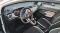 Nissan Micra Micra 1.0 IG 12V 5 porte Acenta Blanc - thumbnail 4