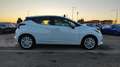 Nissan Micra Micra 1.0 IG 12V 5 porte Acenta Blanc - thumbnail 10