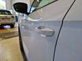 Volkswagen T-Roc 1.0 tsi style 110cv Bianco - thumbnail 7