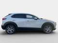 Mazda CX-30 2026 2.5L G 140ps 6MT 2WD EXCLUSIVE-LI Weiß - thumbnail 3