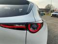 Mazda CX-30 2026 2.5L G 140ps 6MT 2WD EXCLUSIVE-LI Weiß - thumbnail 11