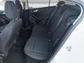 Ford Focus 1.0 Ecoboost 92kW Active Plateado - thumbnail 16