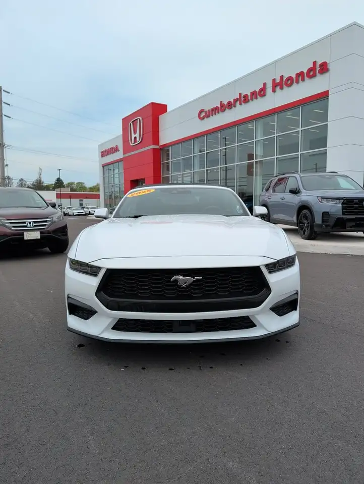 Ford Mustang снимка Ford Mustang
